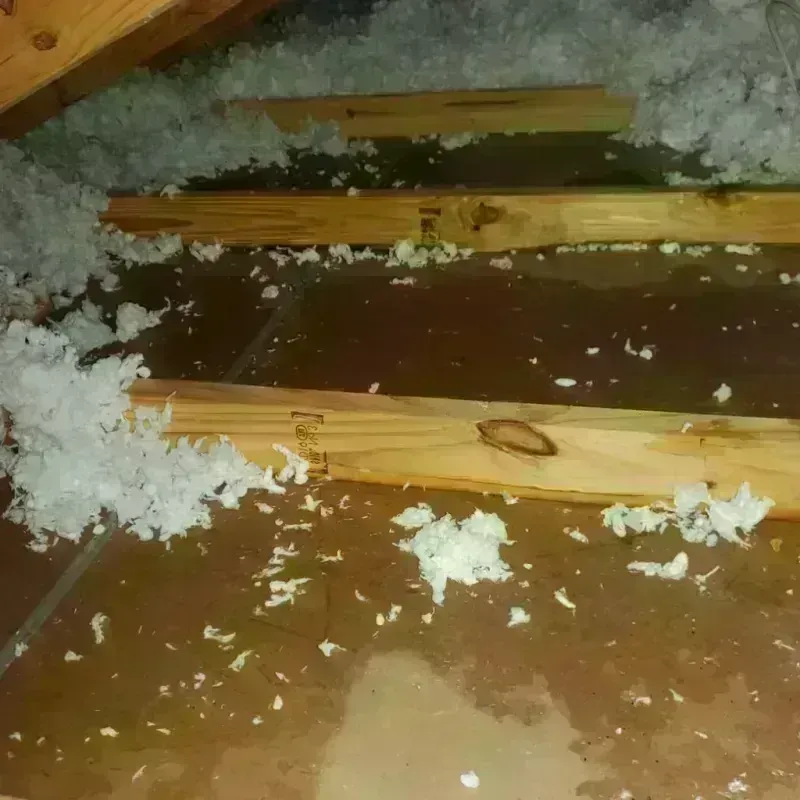 Attic Water Damage in Tangent, OR