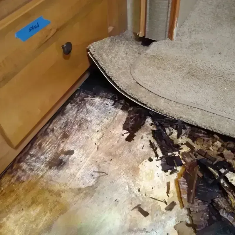 Wood Floor Water Damage in Tangent, OR